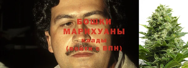 шишки Янаул