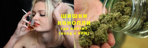 2c-b Пересвет