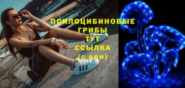 прущие грибы Яранск