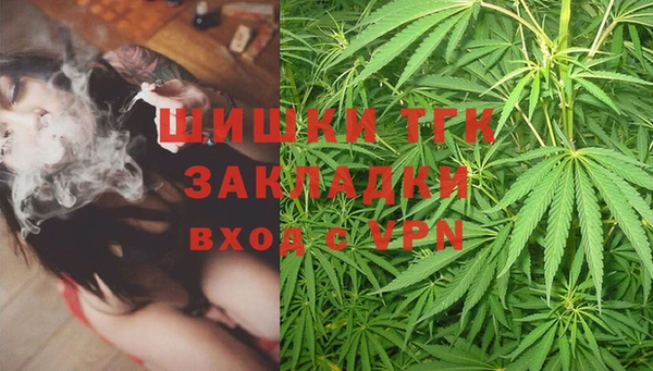 ешки Пестово