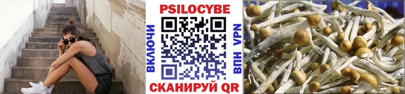 продажа наркотиков  Пушкино  MEGA зеркало  Псилоцибиновые грибы ЛСД 